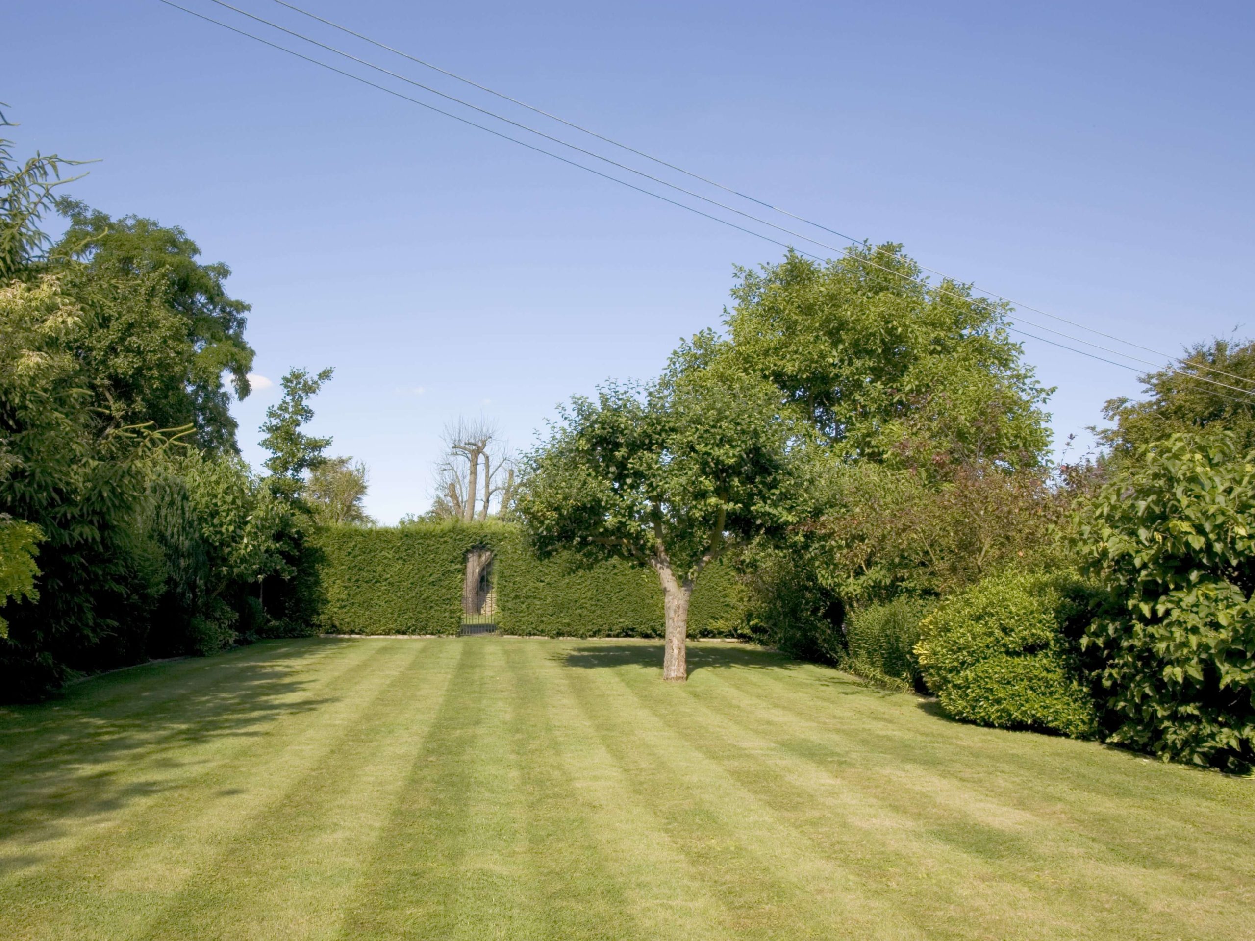 Lawn Mowing/Hedge Trimming Sidcup DA15/DA14