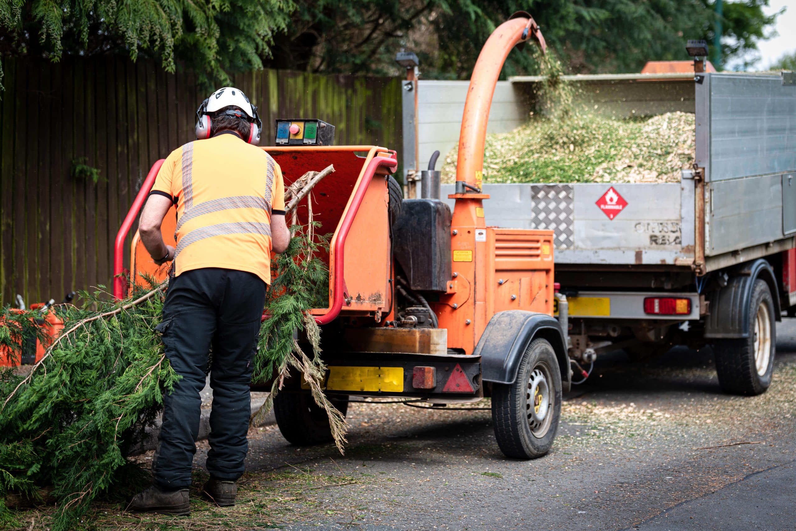 Tree Stump Grinding/Removal Sidcup DA15/DA14
